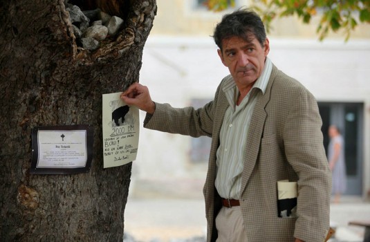 ���� ��������